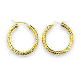 Hoops Earrings 10k