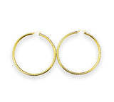 Hoops Earrings 10k