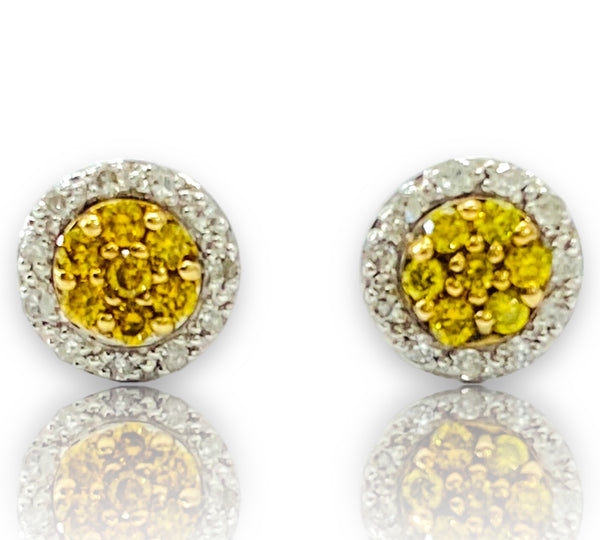 .50ctw White and Yellow Diamonds Earrings 10k