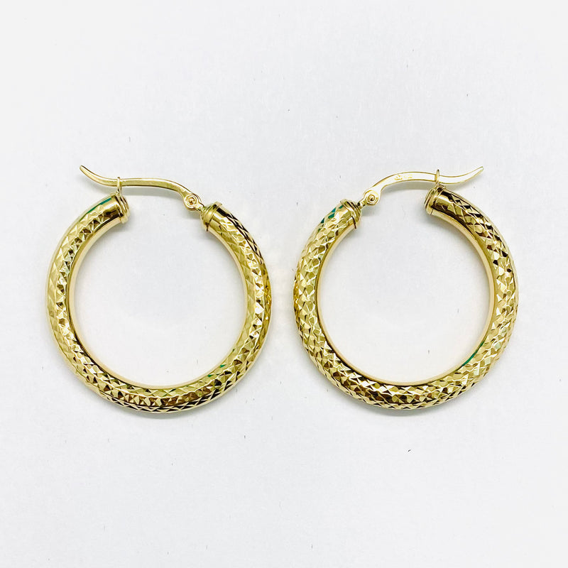 Hoops Earrings 10k