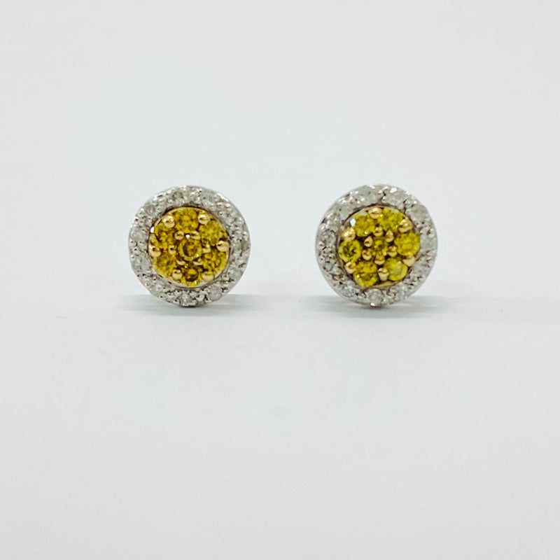 .50ctw White and Yellow Diamonds Earrings 10k
